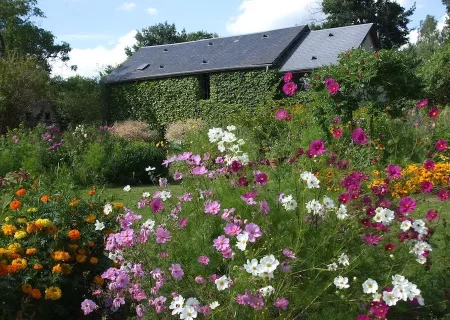 Gîtes Moeufauxfleurs 1